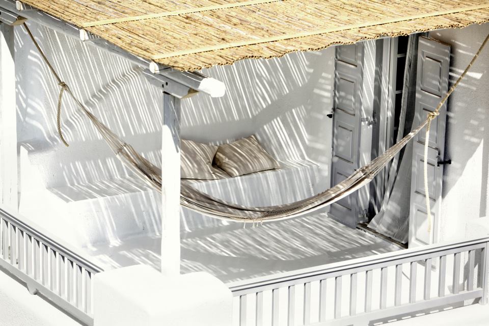 pegasus_LARGE_t_209761_105728920