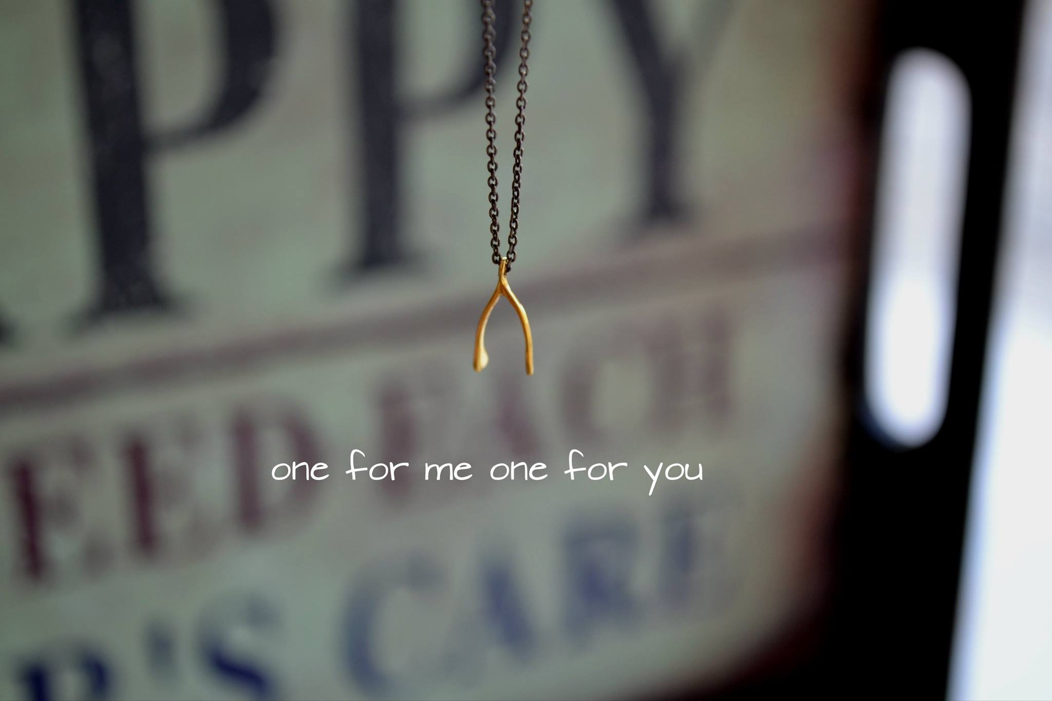 13669350_982971295154337_7496131891974104660_o