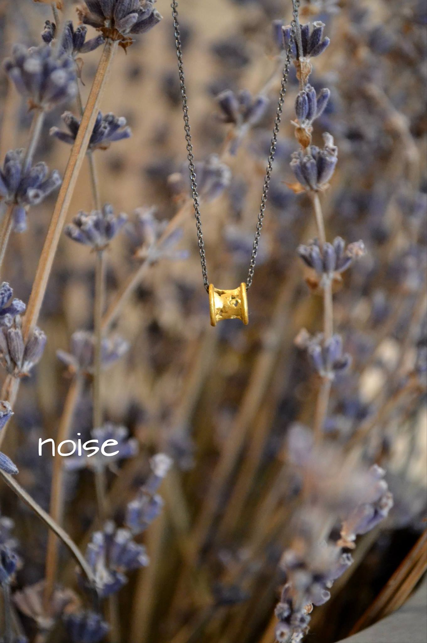 15042235_1085836288201170_8078882275541040511_o