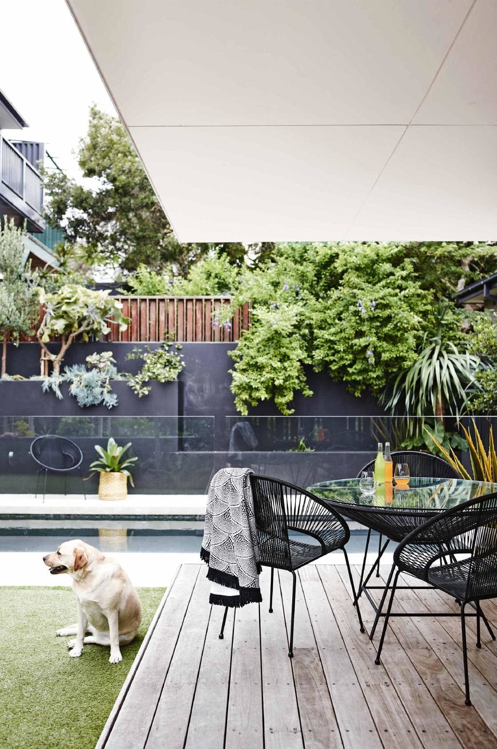 bd4e4bee9c55f41546625cdd582d1a66