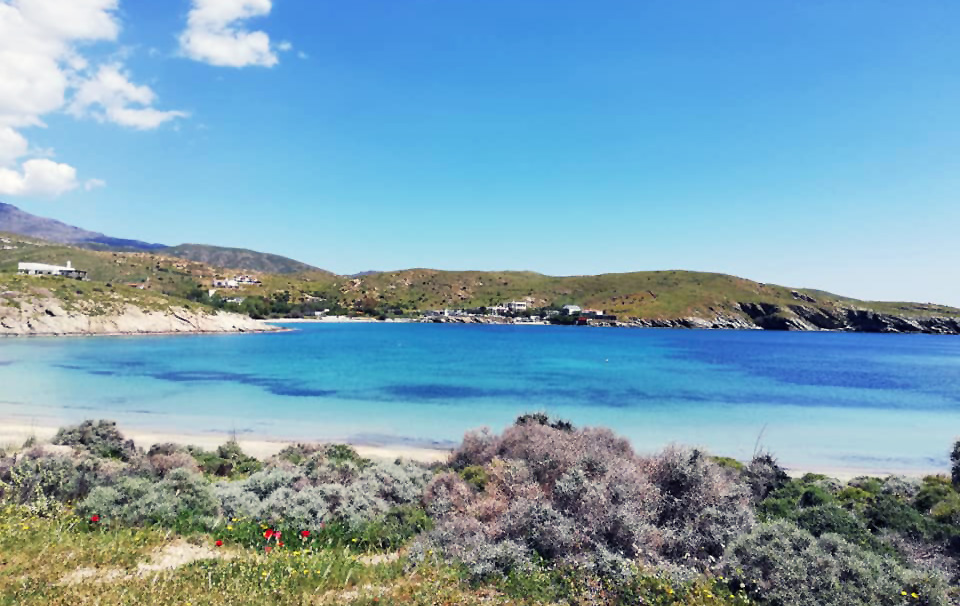 59393643_10219985636609918_2373004838750388224_n