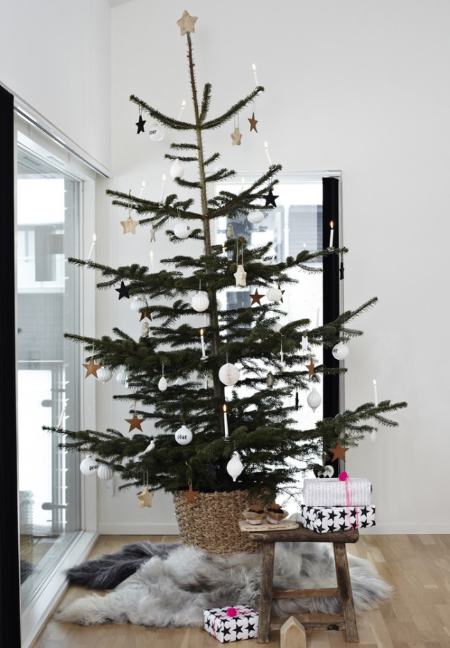 c_95ada95e176aedb8d8984c8dafbfbe8e