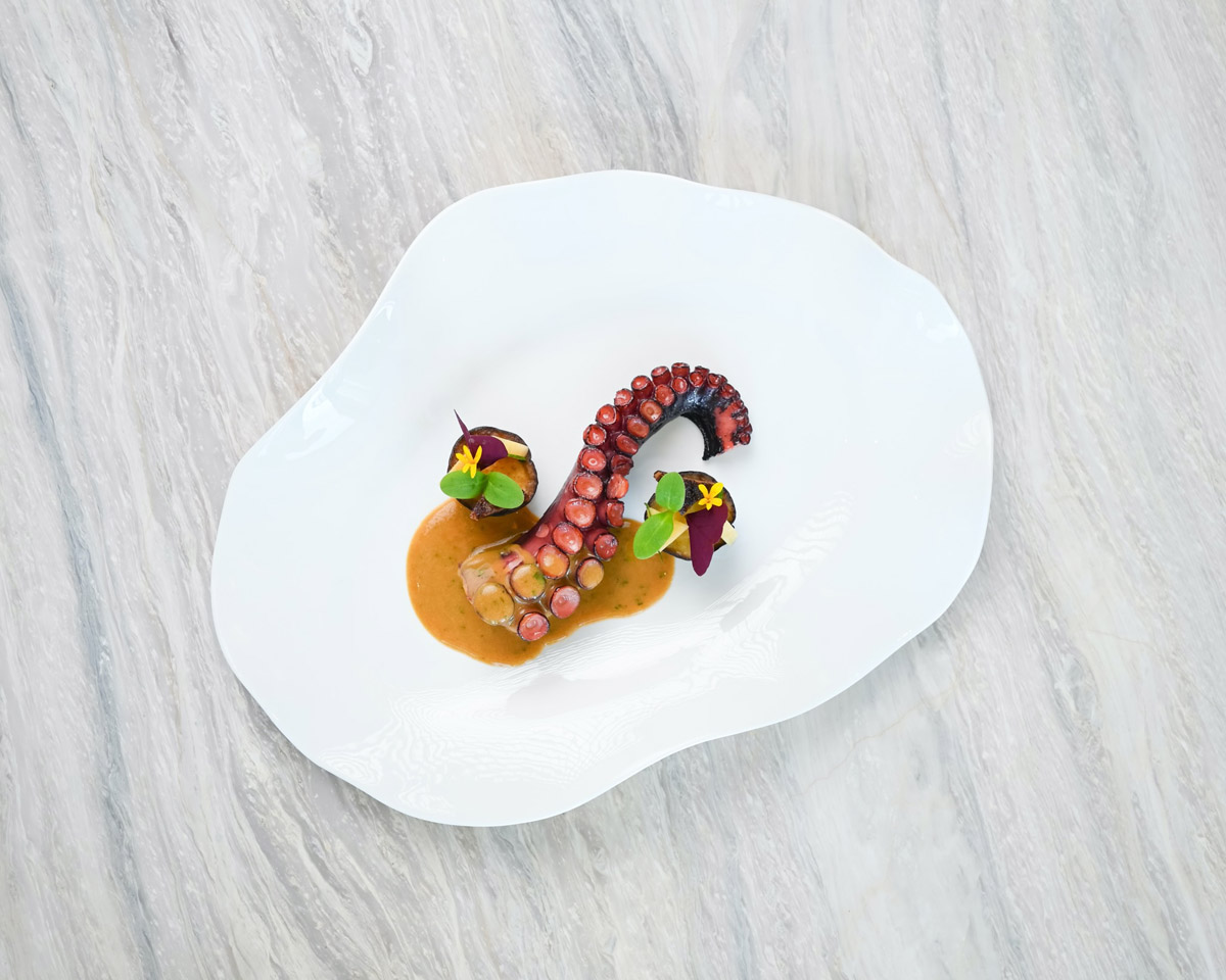 OCTOPUS [BBQ] (2)