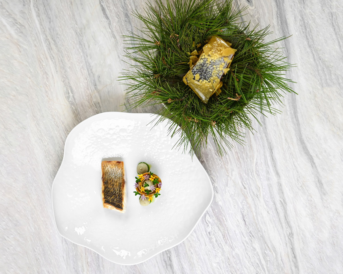WILD SEA BASS [DRY AGED]