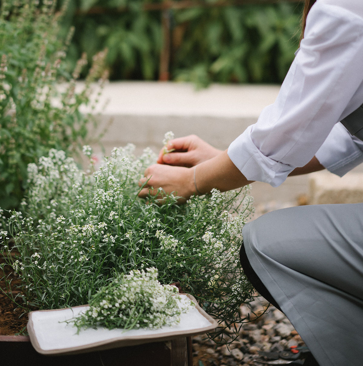 321767647_475897058044851_8225622279316542515_n