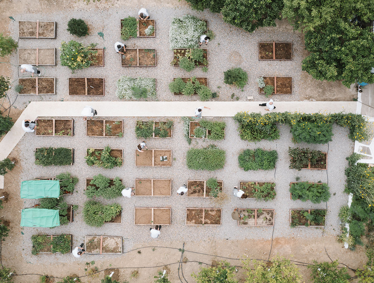 Soil_Alepochori Experience_01