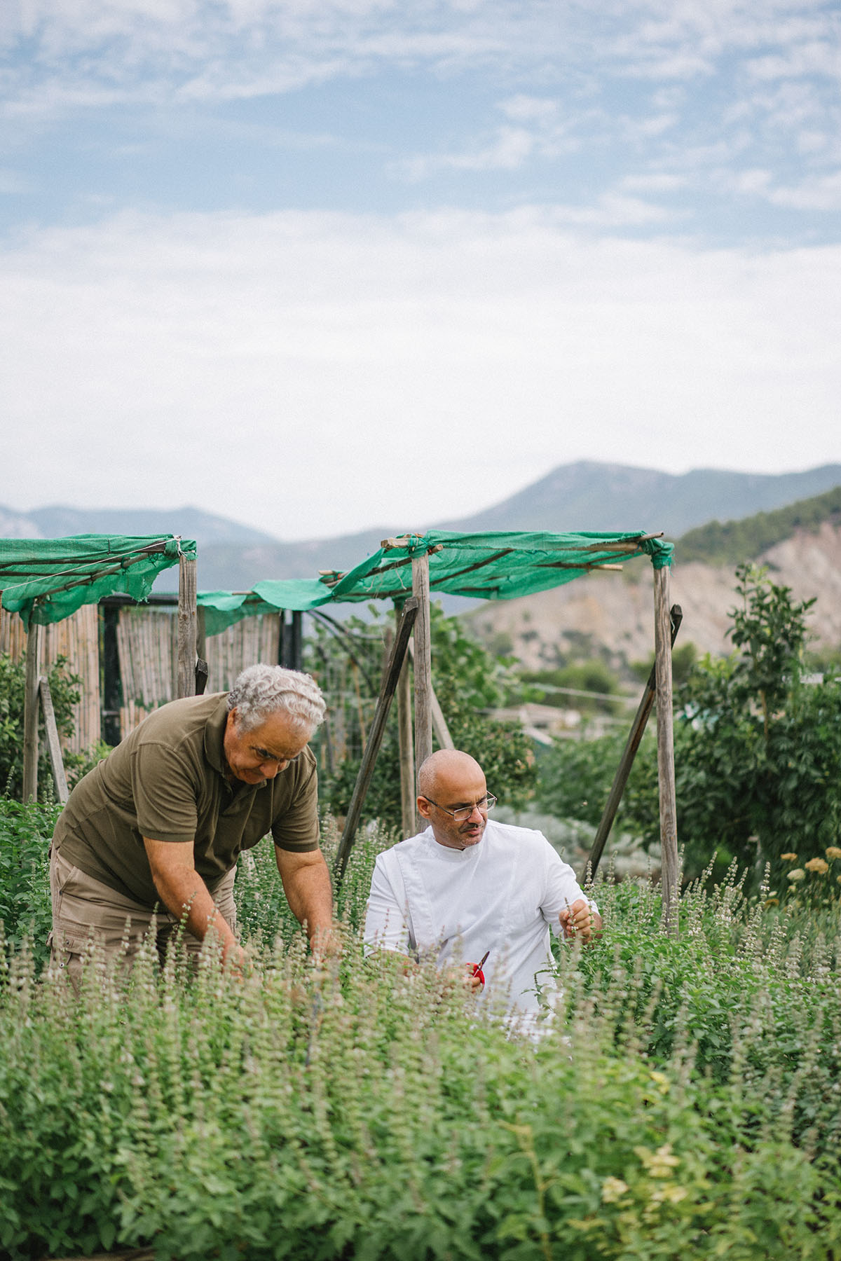 Tasos Mantis-Mpampis Mantis