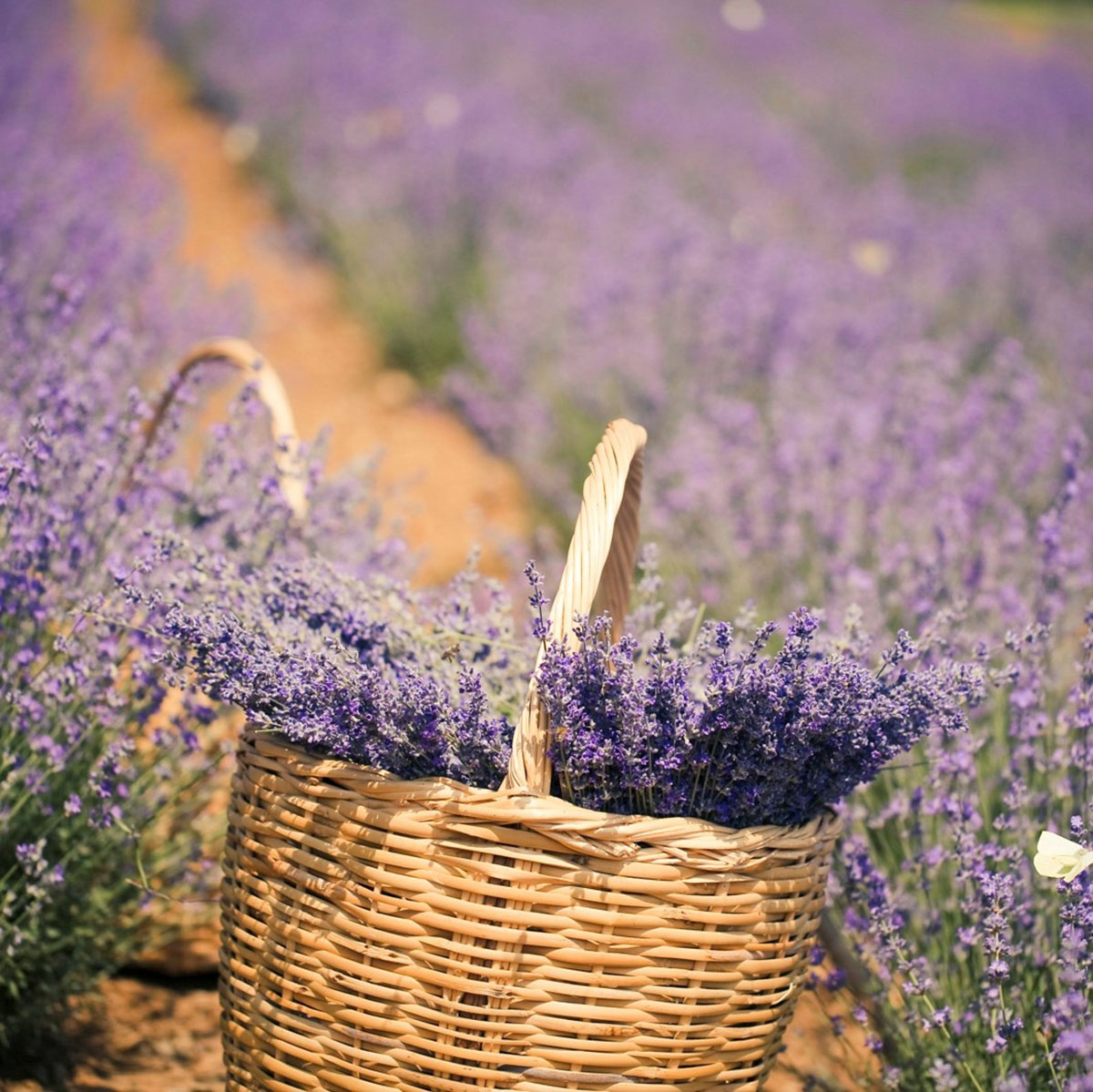 291744935_173856245092097_278082210225095082_n